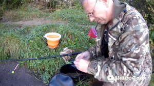 В этот раз, клевало исключительно на гороховую мастырку!