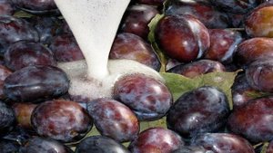 Маринованные сливы на зиму