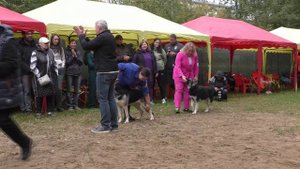 Расстановка СЩ