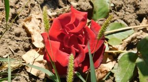 22==09==2025  ПВН  КМР   (73)