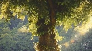 Истории из жизни "Как пережить предательство жены" Жизненные истории / Читаем рассказы