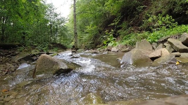 Гороховая балка