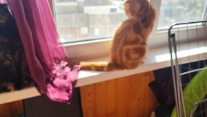 Бабье лето🐞🍀😸👍