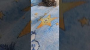 показания кнопочки