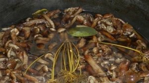 Маринованные опята с горчицей