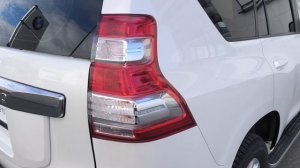 compose_video_1758691485369