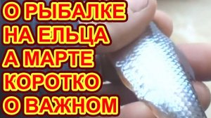 Не торопись ловить ельца СМОТРИ ВИДЕО PRO Ловлю ЕЛЬЦА в МАРТЕ на МОРМЫШКУ или КОРОТКО о САМОМ ВАЖНОМ