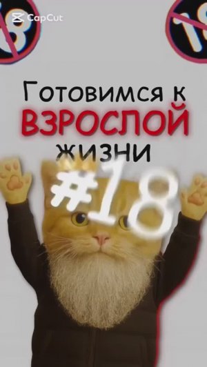 КОТИКИ ОБЪЯСНЯЮТ / Как лечиться от Простуды? / Как убрать Отеки с Лица? / Как увеличить свой рост?