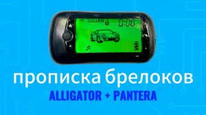 Вариант 2 как прописать брелок Alligator и Pantera