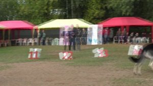 Класс чемпионов