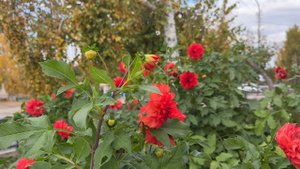 24.09.2025 Первое дыхание осени