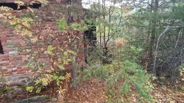 video5377537867658590592