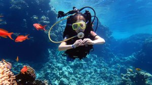 Дайвинг в Шарм-Эль-Шейхе, посещаем остров Тиран.