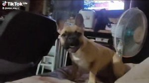 Дело было вечером, делать было нечего.