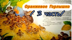 "ОРАНЖЕВОЕ ГОРЛЫШКО" /3 часть💫😉👍/ В. Бианки