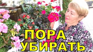 24 сентября 2025 г.