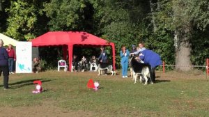 Сравнение на ЛК