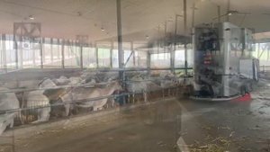Автоматический кормораздатчик для коз SIEPLO FEEDr тел.+7(912)233-76-56