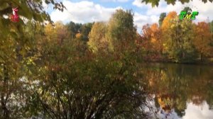 НОВОСТИ ТМТ 24.09.2025