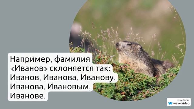 Фамилия Алентьев: история, происхождение и значения, и как правильно склонять фамилию