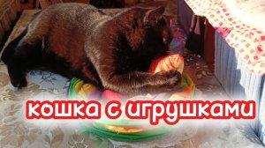 Кошка с игрушками.