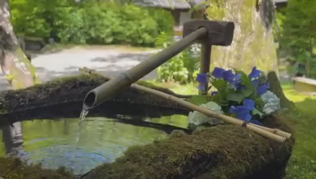 Вика (Тори-чан) Япония - 10 НЕОЖИДАННЫХ ВЕЩЕЙ которые японцы делают каждый день (24.09.2025)