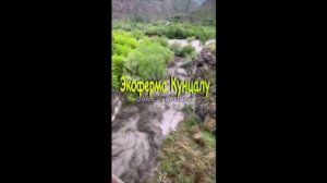 Селевой поток