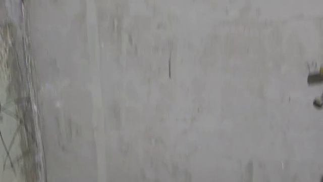 Видео что нужно