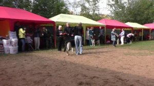 Демираль Ураган