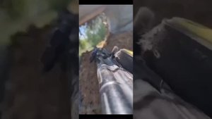 Песня ребят бойцов СВО.mp4