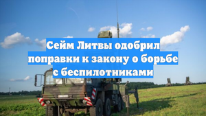 Сейм Литвы одобрил поправки к закону о борьбе с беспилотниками