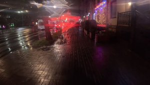 моноколесо "СОТКА" (Виктор) GX010670