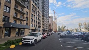 обзор братьев баталовых