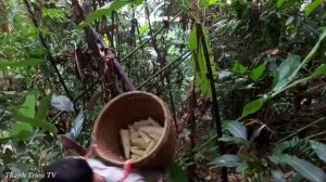 Стройте дома в лесу создавайте пруд для рыб сады,огороды.