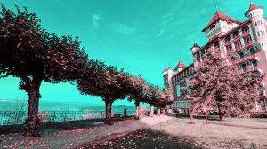 SHMS Caux - Швейцарская школа гостиничного менеджмента, Swiss Hotel Management School, Швейцария