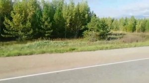 Сериал "Поездка в Осенний Сарапул". Серия пятая (заключительная серия)