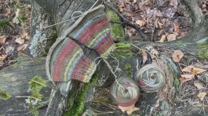 🧶ПОКУПКИ, ПРОЦЕССЫ, ПРОГУЛКИ🍄/ Сентябрь 2025🟫