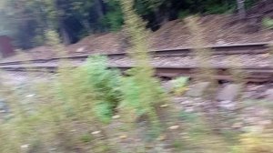 сегодня день в видео
