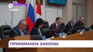 Приморские парламентарии внесли изменения в главный финансовый документ региона