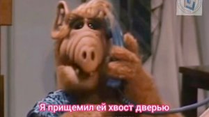 Альф. Отрывки из серии. С субтитрами и переводом. Смешные моменты. Отличный сериал про пришельца.