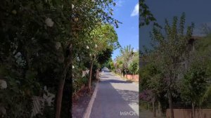 Отпуск мечты