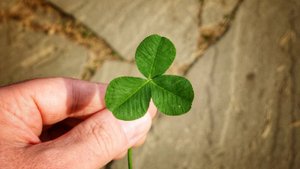 Ближняя Дача