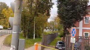 Через дорогу от Нового Иерусалима. 24 сентября