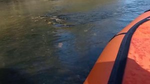 Пакрафт! Обзор и тест!