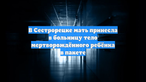 В Сестрорецке мать принесла в больницу тело мертворождённого ребёнка в пакете