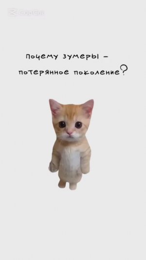 КИСЫ ОБЪЯСНЯЮТ / Почему Зумеры - последнее поколение? / Признаки что Тебе врут