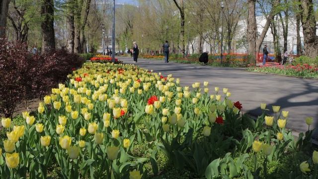 17 апреля 2025 , парк Революции , Ростов-на-Дону смотреть онлайн