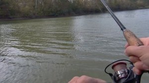 Крупный окунь заглотил глубоко в шахту ...