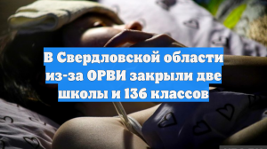 В Свердловской области из-за ОРВИ закрыли две школы и 136 классов