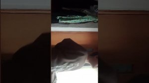 разговор